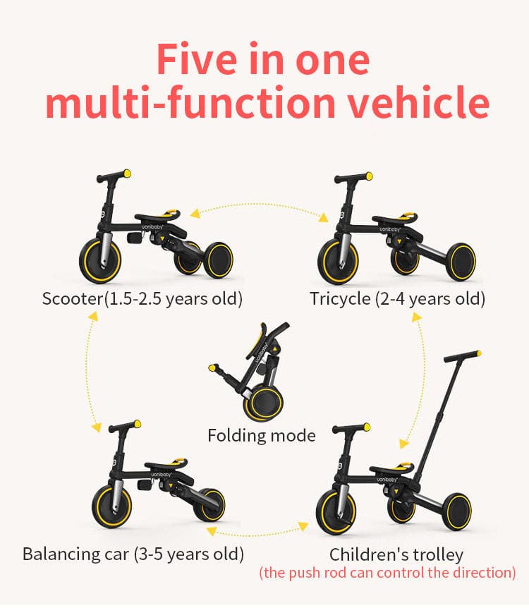 multi-functional scooter