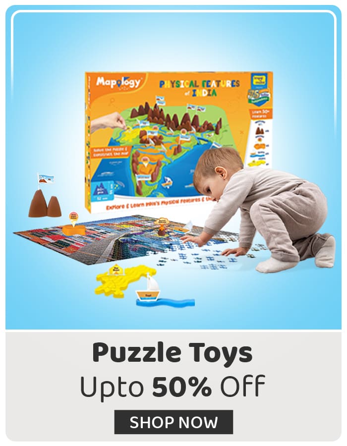 Puzzles Toy