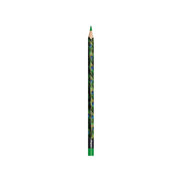 color pencil for Artist