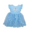 Blue Princess Dress for Toddler