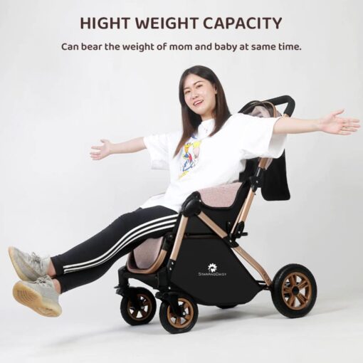 Heavy weight capacity stroller