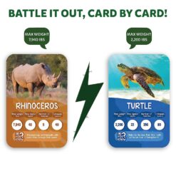 Battle Out Card by Card