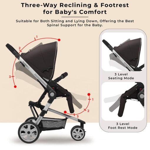 Baby Stroller with Three Reclining Positions