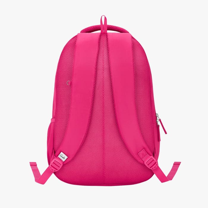 Buy CAPRESE Pink Faux Leather Womens Casual Medium Laptop Bag | Shoppers  Stop