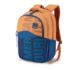 American Tourister Casual Stylish & Trendy School Bags, 29.5 Ltr, 3 Compartments, Waterproof Printed Backpack - Sest 3.0 Mustard