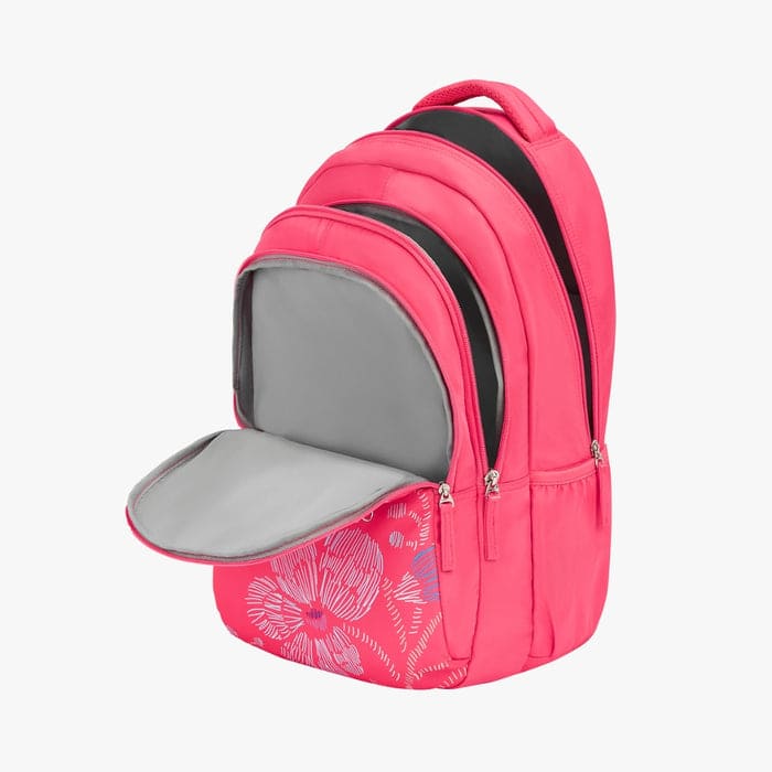 Leatherette Multi Color Lightweight And Stylish School Bags at Best Price  in Samastipur | Anuj Enterprises