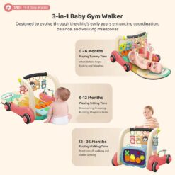 3-in-1 Baby Play Gym Cum Walker