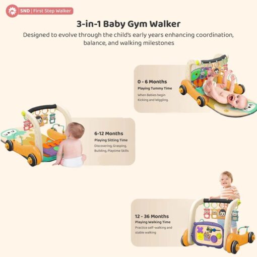 3-in-1 Baby Play Gym Cum Walker