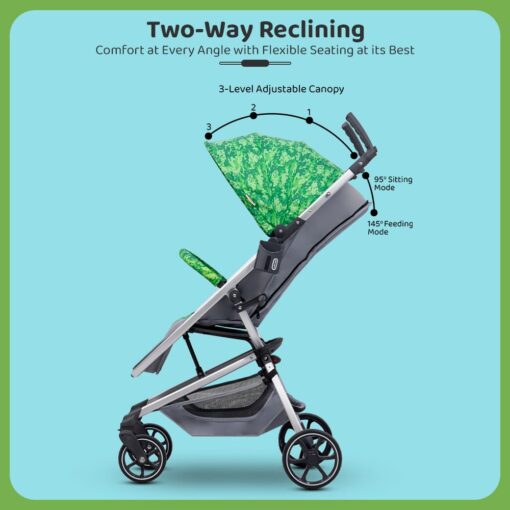 Baby Stroller with 2 Way Reclining