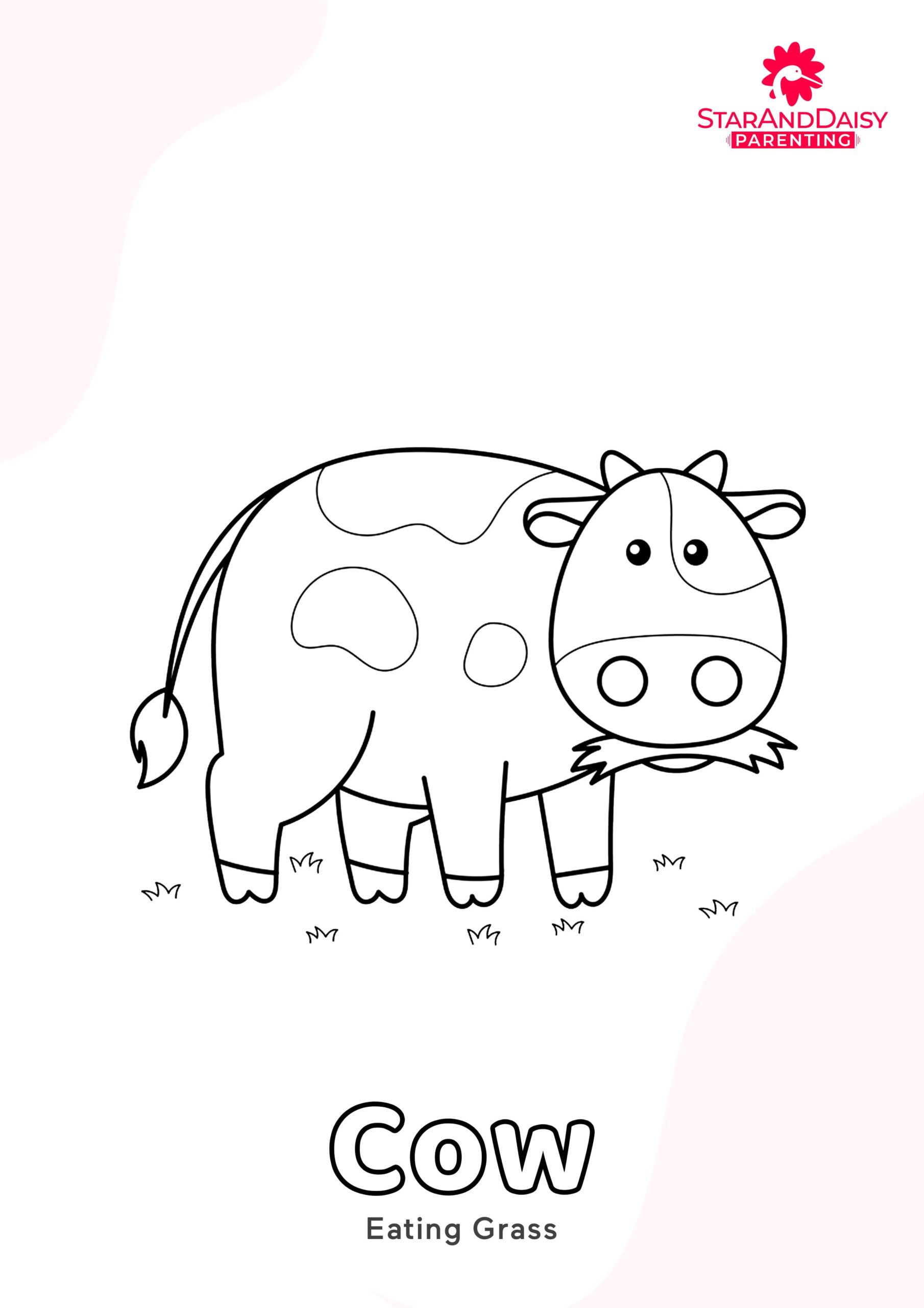 Cow-2