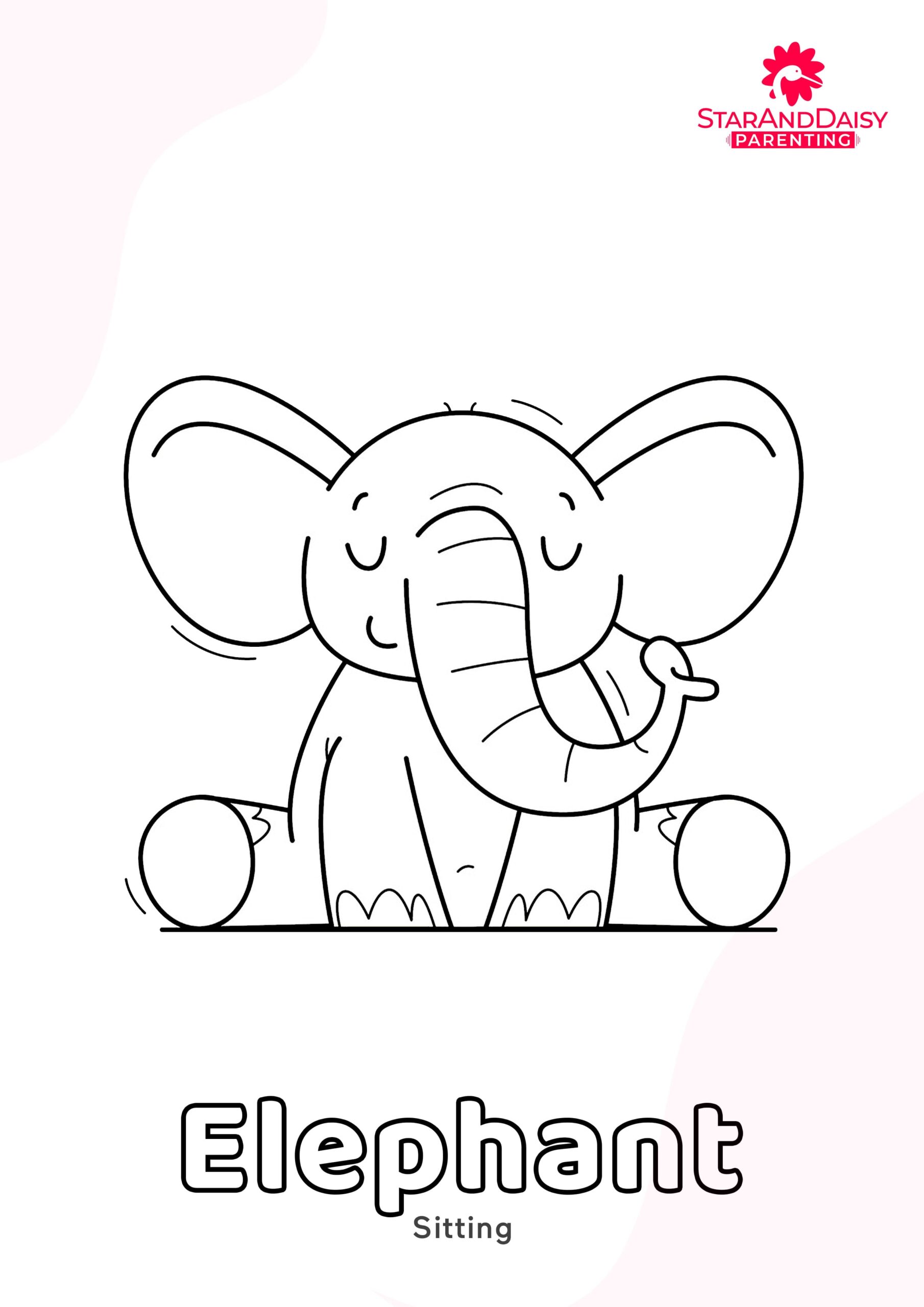 Elephant-3