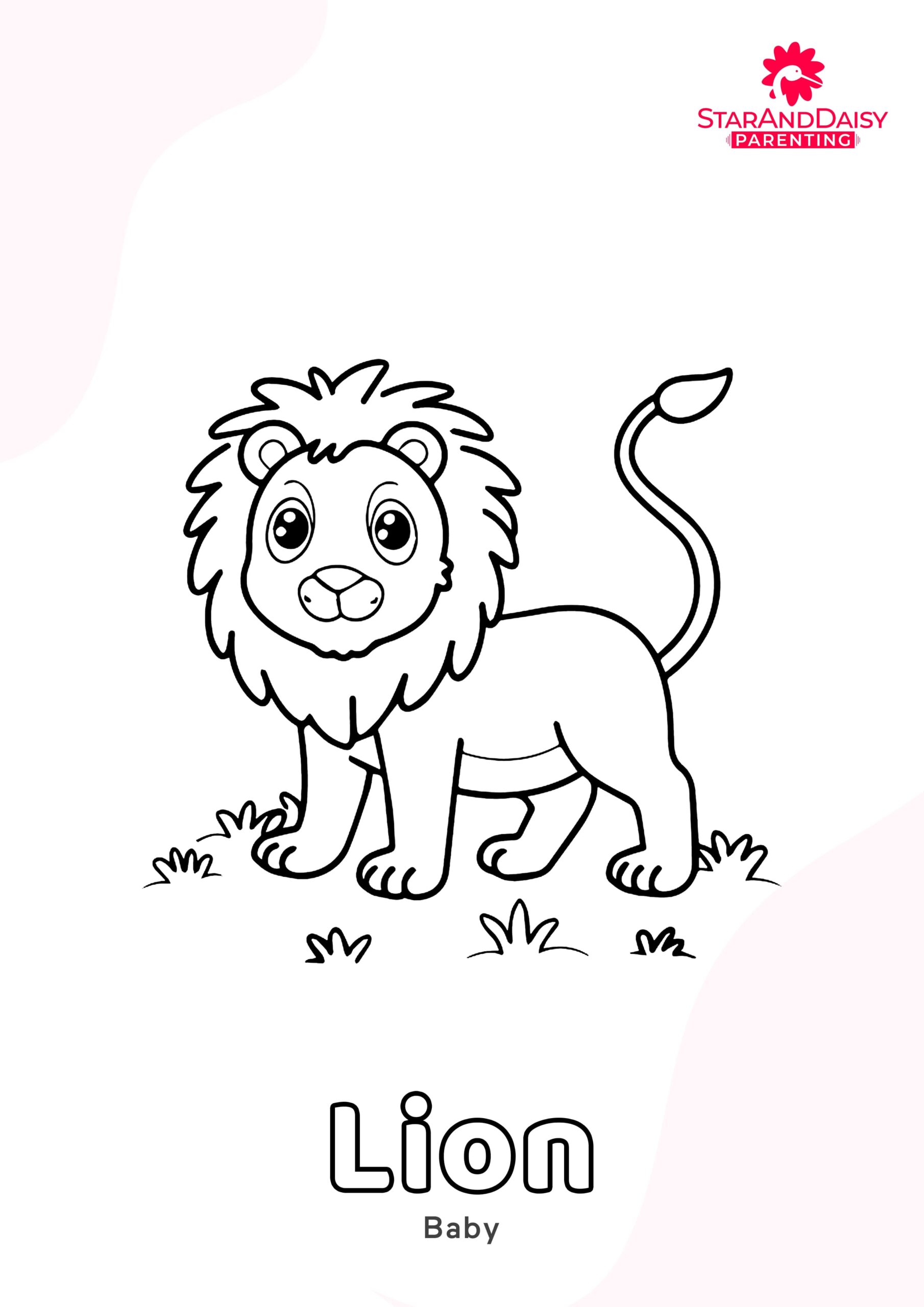 Lion-3