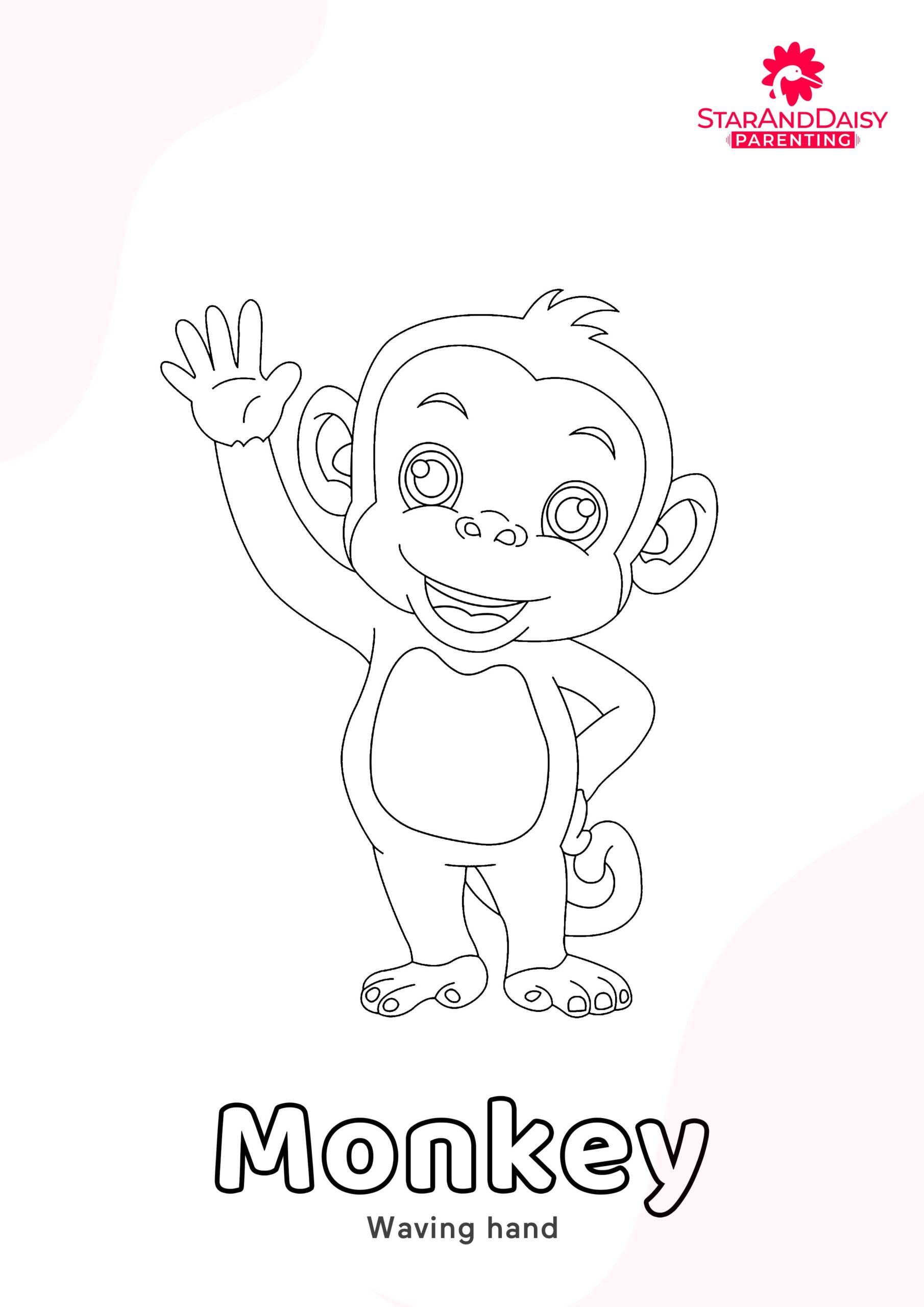 Monkey-3