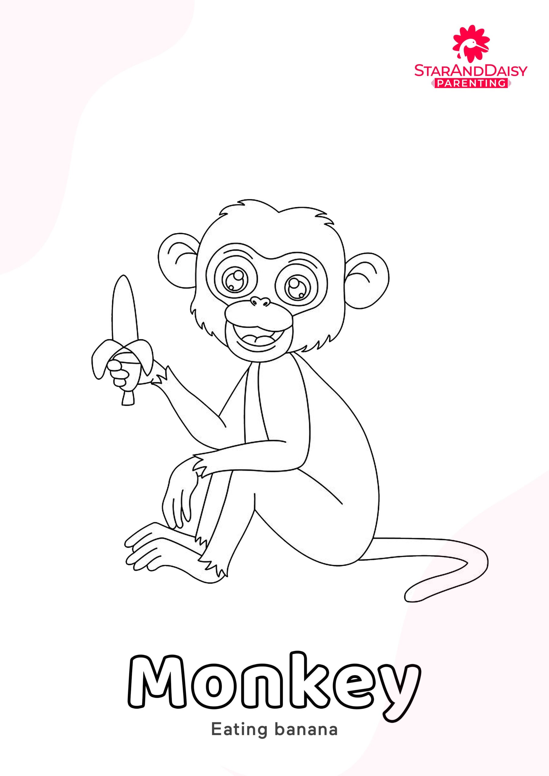 Monkey-4