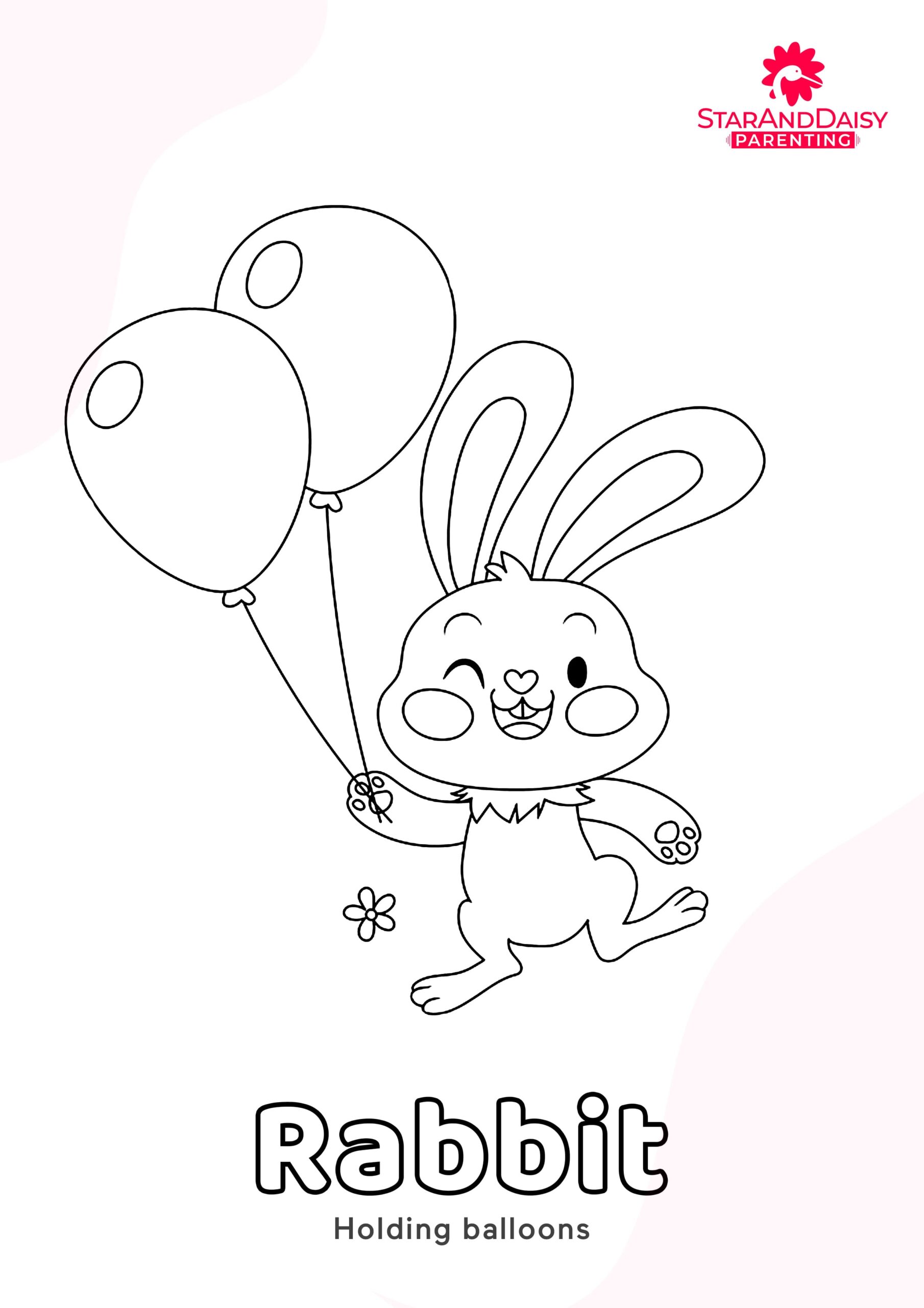Rabbit-4