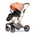 Baby Strollers and Prams are available at the StarAndDaisy Shop