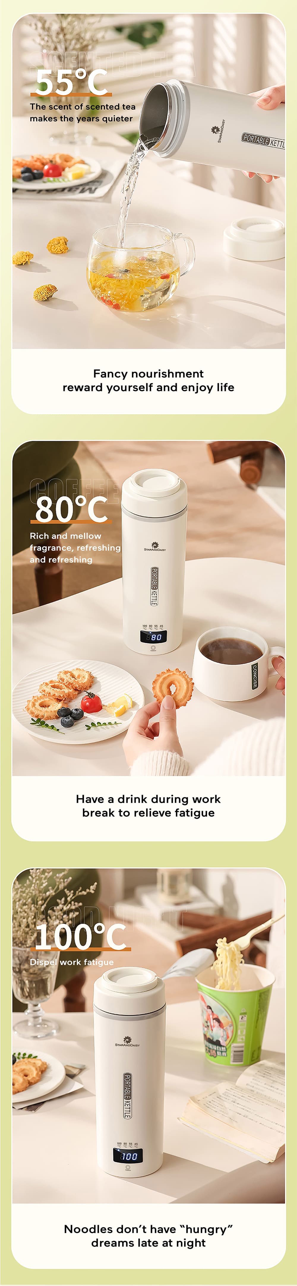 Electric Kettle with Temperature Control