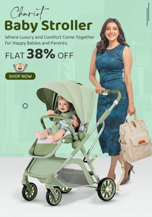 Chariot Baby Stroller