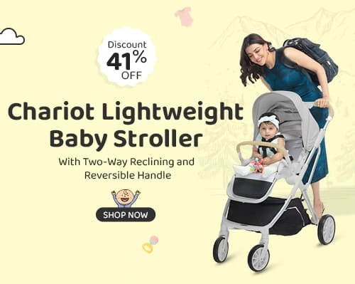 Chariot Baby Stroller