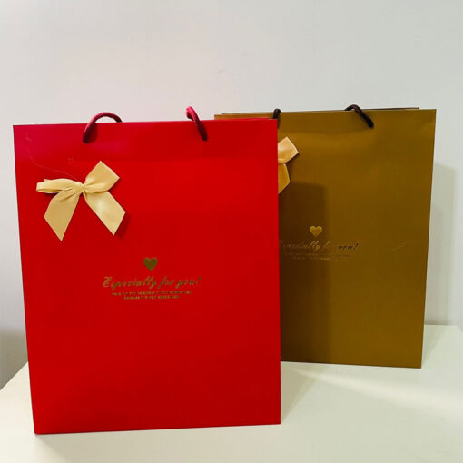 Ribbon Paper Bag For All