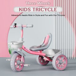 StarAndDaisy Best Tricycles for Kids with Dual Storage Basket and Seat Belt for Kids Boys and Girls aged 2 to 5 Years - Pink