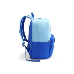 School Backpack For Kids