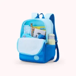 School Backpack For Kids